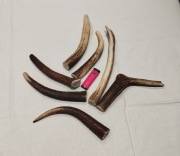 Poroże naturalny Gryzak  dla psa  zabawka 19-29cm 