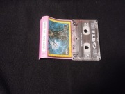 Mercyful Fate In The Shadows 