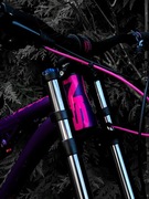 NS Bikes Soda Evo coil