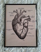 Plakat w ramce 30x40 Anatomia Serca Vintage – Medyczna Sztuka Reto