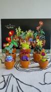 Zestaw LEGO Icons Botanical Małe roślinki w doniczkach # 10329