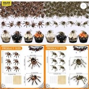 Dekoracjia z pająkami na babeczki i tort na Halloween toppery 60 szt.