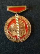 Za Zasługi dla woj. gorzowskiego