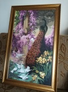 Paw, obraz, haft krzyżykowy, najlepsza jakość