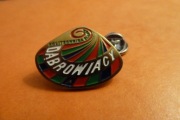 Politechnika Śląska Gliwice Zespół Dąbrowiacy pin przypinka 