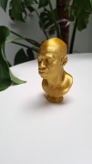 Figurka Popiersie Golden Floyd