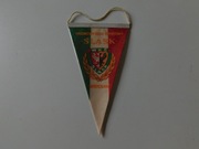 PROPORCZYK WKS ŚLĄSK WROCŁAW mały