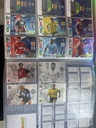Karty Panini Champions League 13/14