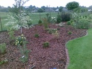 Kora sosnowa, dekoracyjna 80l