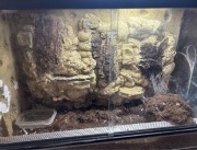 Terrarium  60x30 x40