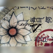 Kopertówka desigual