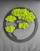 Drzewko Bonsai z chrobotkiem fińskim Motyw Drzewa jasna zieleń