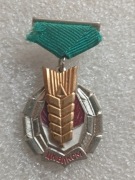 CK VLKSM zloty kolos