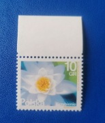 Fi 4638 ** Margines Kwiaty i owoce Grzybienie 2015