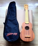 Ukulele z pokrowcem i instrukcją dla początkujących