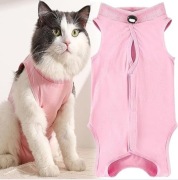 WDEC Body dla kota po operacji r. S