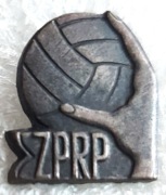 Związek Piłki Ręcznej w Polsce  