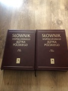 Słownik  współczesnego Języka Polskiego 2 tomy