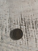 moneta 1 gr 1992 rok