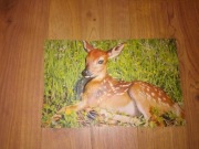 Obrazek sarna trójwymiarowy wypukły tłoczony relief PRL Vintage