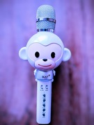 Mikrofon Bluetooth Speaker MX-100 tanio