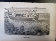 Piękna oryginalna litografia XIX - XX w. - Poławiacze gąbek