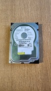Dysk Twardy WD800JD-23LSA0 SATA 80GB
