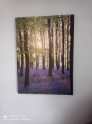 Obraz, druk na płótnie 