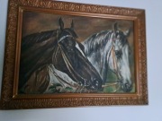 Obraz stary "para koni"
