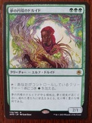 Circle of Dreams Druid - Japoński