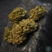 White Sage Naturalne CBG 100% susz konopny 10G