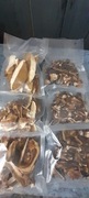 Sprzedam grzyby suszone prawdziwki i podgrzybki