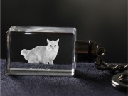 Munchkin Cat brelok sześcienny Świecący