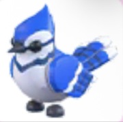 Blue Jay - Adopt Me Roblox