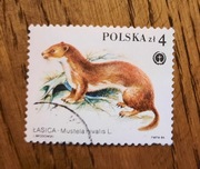 ZNACZEK POLSKI - Łasica Mustela nivalis ssak w PL - Jacek Brodowski - 4zł 