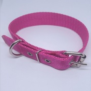 Obroża dla psa 25mm/80 cm różne kolory do wyboru