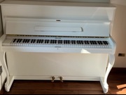 Pianino Hellas ( biały mat)