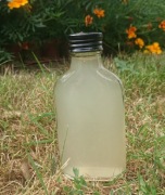 Ocet ziołowy na trawienie: dziurawiec i krwawnik 100ml