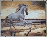 Konie galop o zmierzchu na plaży