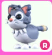 Alley cat adopt me roblox pet
