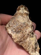 Kalcyt miodowy z Jury Krakowsko-Częstochowskiej