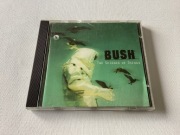Bush The Science Of Things CD