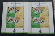 Znaczki polskie Blok 179 I ,II Mistrzostwa Świata w piłce nożnej stan**2002