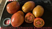 Pomidor Russische Schwarze Eiertomate - 10 nasion kolekcjonerskich 