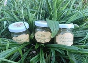 Maść z Babki Lancetowatej opryszczka, rany otarcia