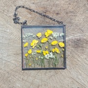 Witraże kwiatowe, suszone kwiaty, jaskier