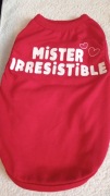 S Czerwona, lekka koszulka dla małego pieska Mr Irresistible