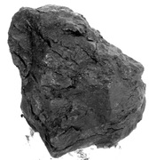 LIGNIT  DO AKWARIUM GLB3