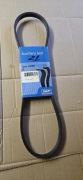 Pasek wielorakowy Skf Vkmv 4pk885