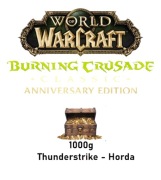 1000g WoW TBC Anniversary THUNDERSTRIKE HORDA